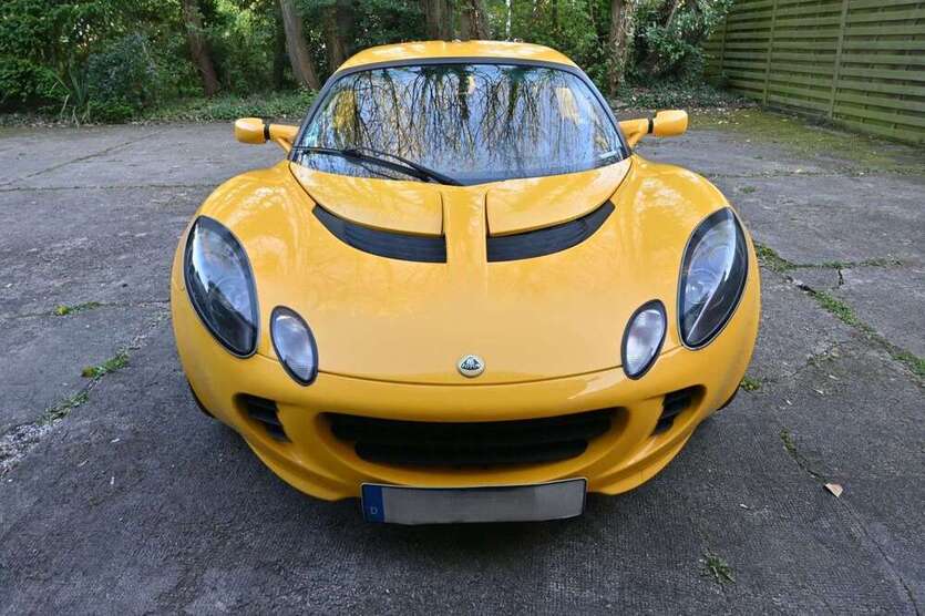 Elise