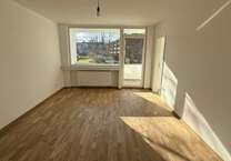 Wohnung zum Mieten in Bonn 700 € 31 m²