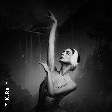 Grand Classic Ballet - Schwanensee - Jenseits der Bühne mit live Streichquartett 08.10.2026 CCS - Congress Centrum Suhl - Touristik und Congress GmbH