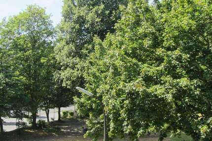 Wohnung Alfter / Bonn Oedekoven - 2 Zimmer, 56 m&sup2;, 239.000&euro; | Angebot:25897493