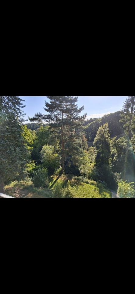 Traumhaus in Ittenbach mit eigenem Wald – von Privat