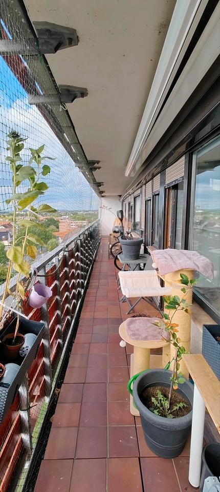 Moderne 4-Zimmer-Wohnung in Sankt Augustin