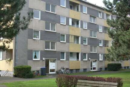 Wohnung zum Mieten in Brühl 520 € 56 m² 2 zimmer