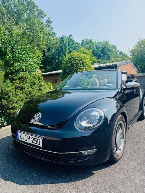 Beetle