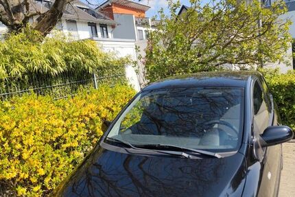 VW Fox