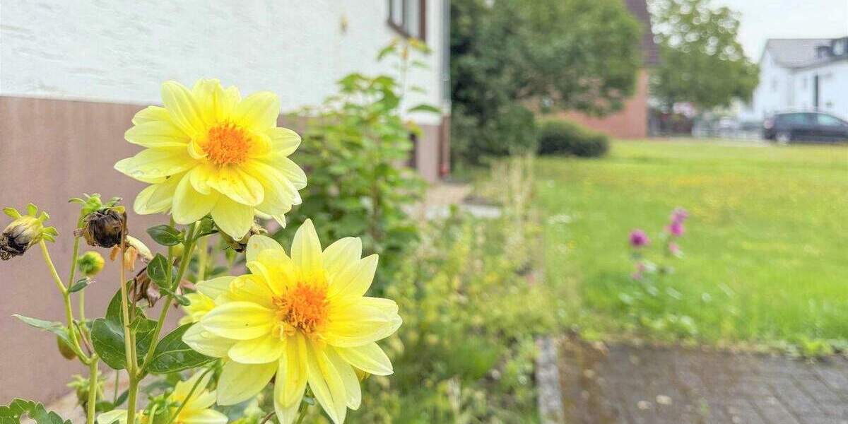 Mehrfamilienhaus, Wohnhaus Lohmar - 9 Zimmer, 223 m&sup2;, 680.000&euro; | Angebot:25706571