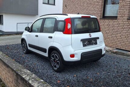 Fiat Panda 31.000 km 9.490 € Brühl 50321