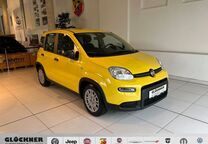 Gebrauchtwagen Fiat Panda