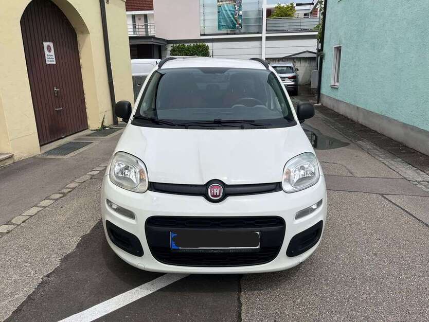 Panda