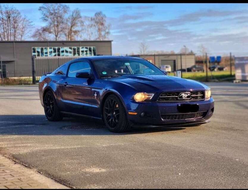 Mustang