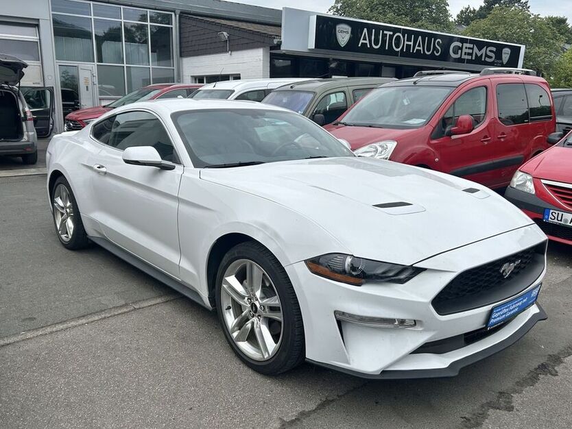 Mustang