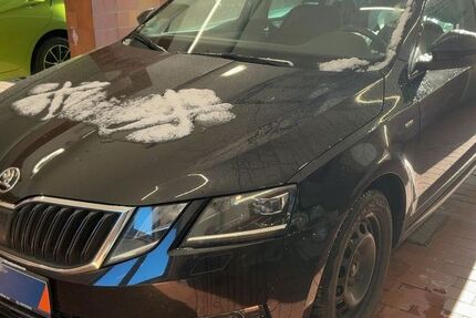 Skoda Octavia 117.407 km 16.799 &euro; Eitorf 53783