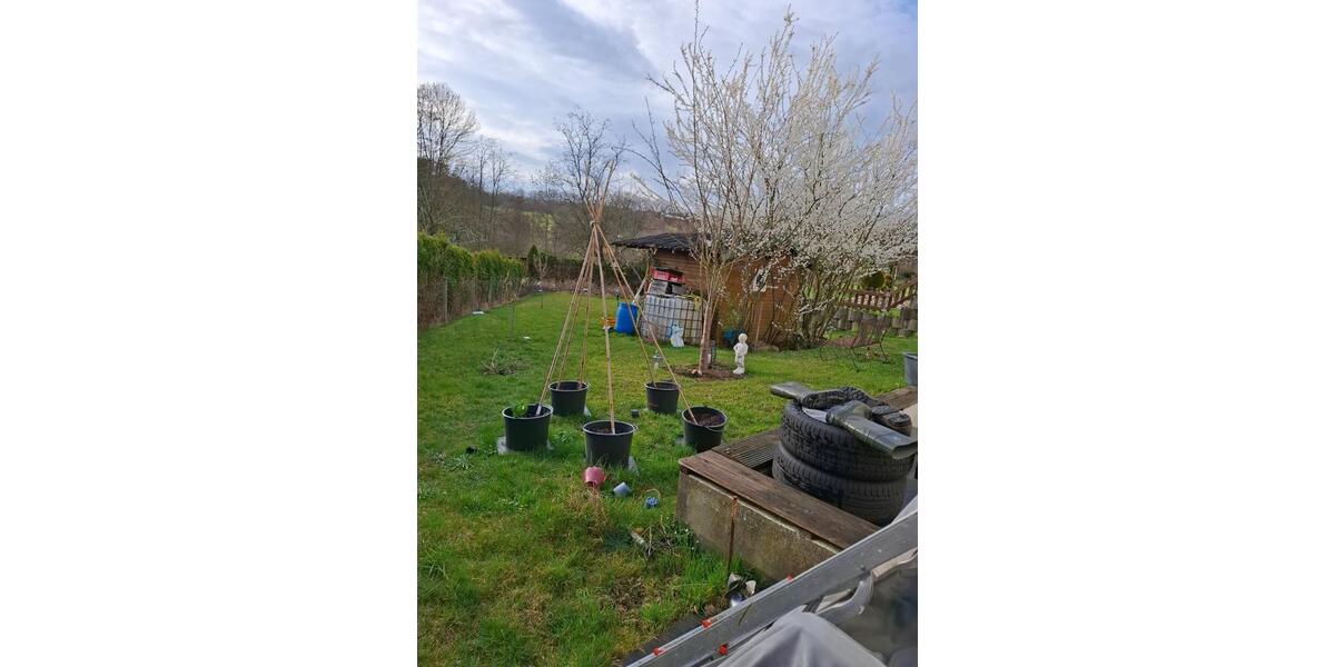 Etagenwohnung Eitorf - 3 Zimmer, 65 m&sup2;, 750&euro; | Angebot:25454174