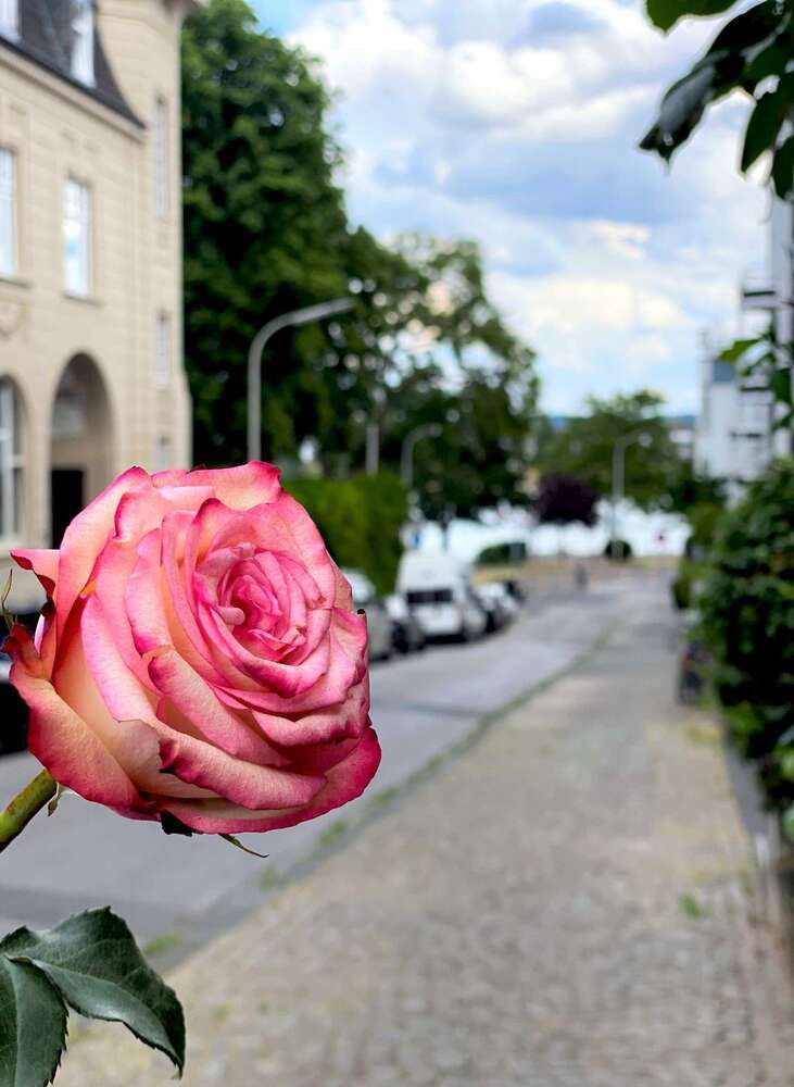 Wohnung zum Kaufen in Bonn 830.000 € 109 m²
