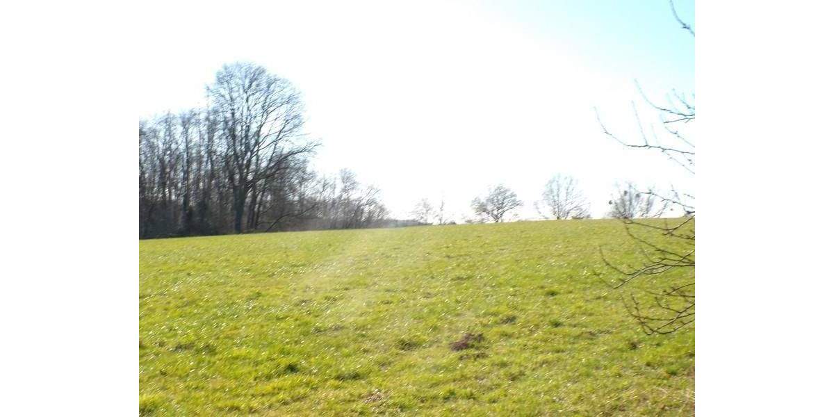 Grundstück Much Loßkittel - 250.000&euro; | Angebot:25684703