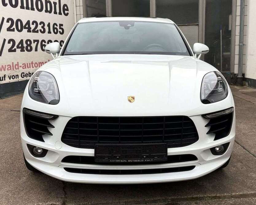 Macan