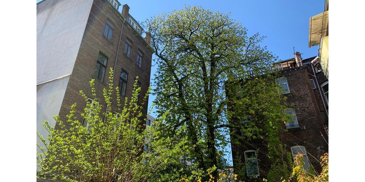 Erdgeschoßwohnung Köln Innenstadt - 1 Zimmer, 40 m&sup2;, 274.000&euro; | Angebot:26945388