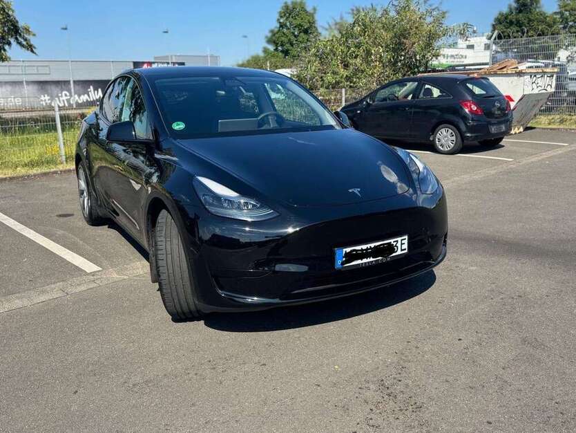 Model Y