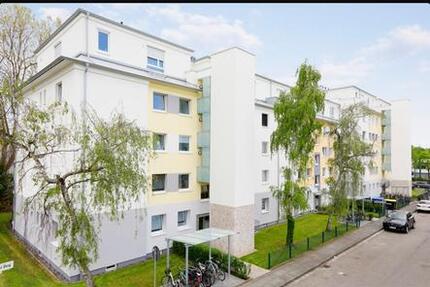 2 Zimmer Wohnung Bonn Auerberg 2 zimmer