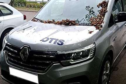 Renault Kangoo 74.480 km 19.500 &euro; Hennef 53773