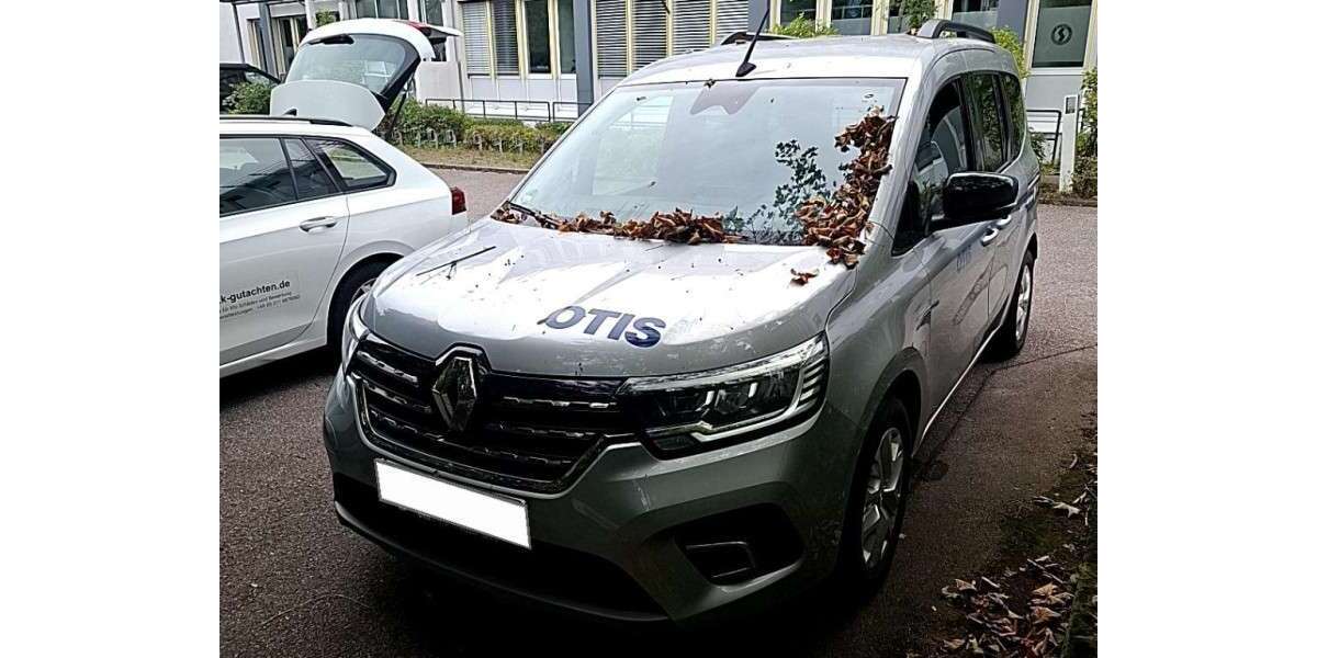 Renault Kangoo 74.480 km 19.500 &euro; Hennef 53773