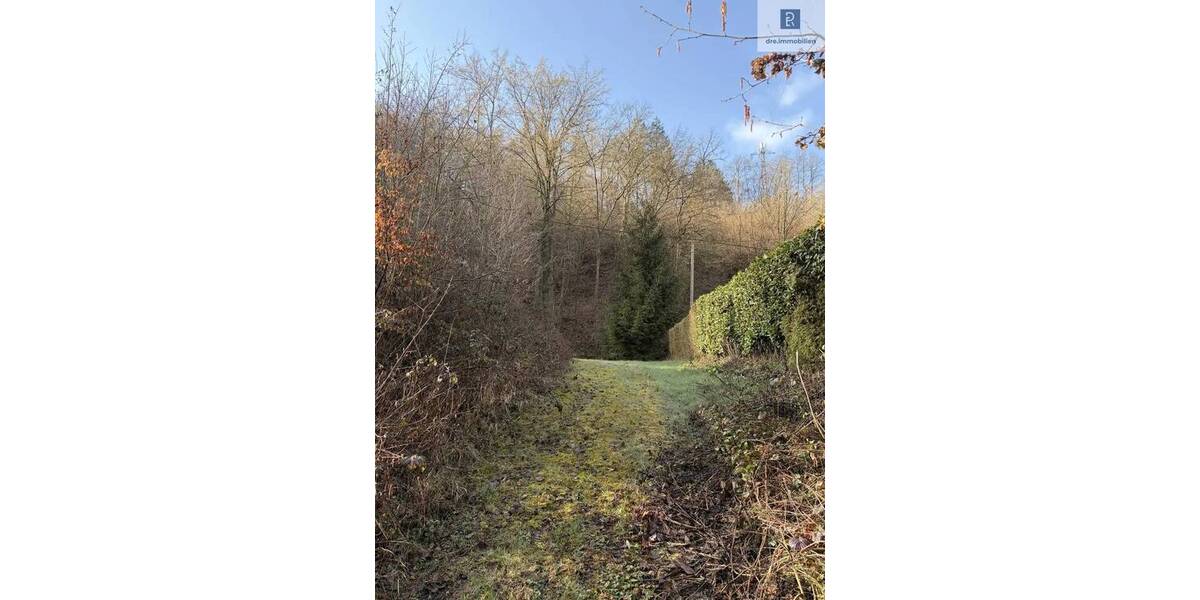 Grundstück Leubsdorf Hesseln - 187.000&euro; | Angebot:26741406