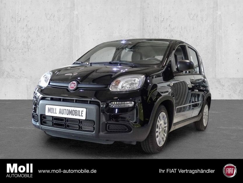 Fiat Panda 4.500 km 13.975 € Euskirchen 53879
