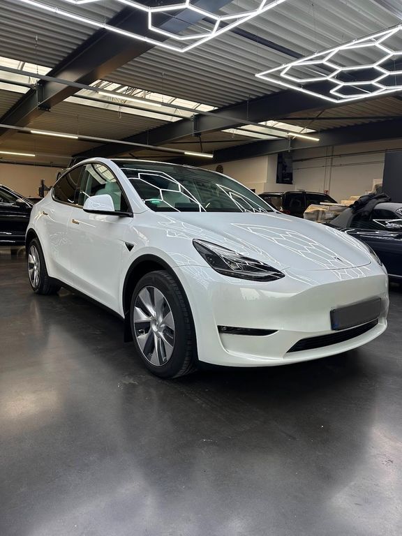 Model Y