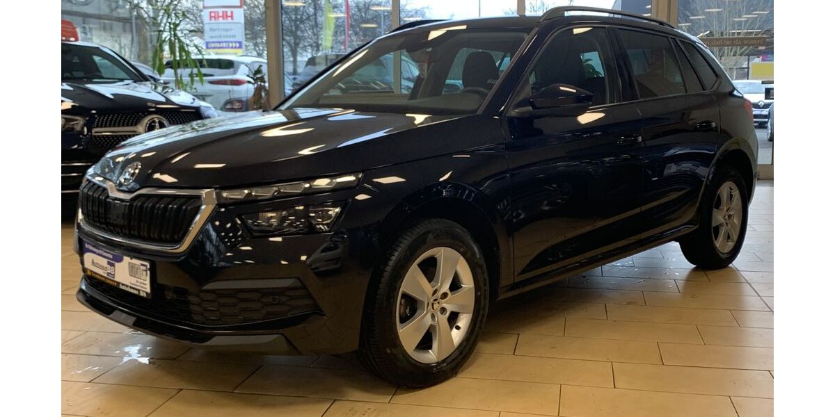 Skoda Kamiq 129.570 km 15.350 &euro; Hennef 53773