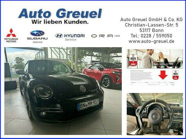 Beetle