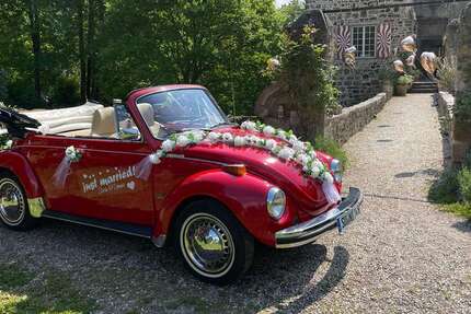 VW Käfer 63.000 km 16.900 &euro; Alfter 53347