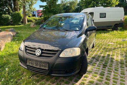 VW Fox