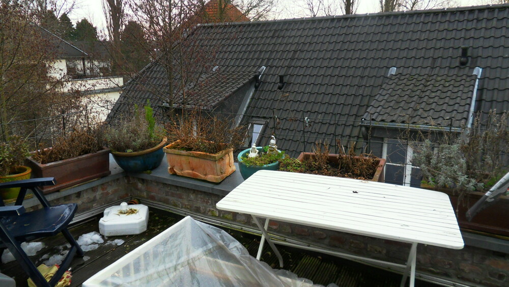 Die ehemalige 