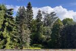 Etagenwohnung Bergisch Gladbach Alt-Frankenforst - 4 Zimmer, 107 m&sup2;, 430.000&euro; | Angebot:26594532