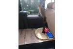 Econoline