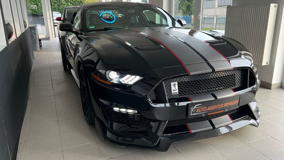 Mustang