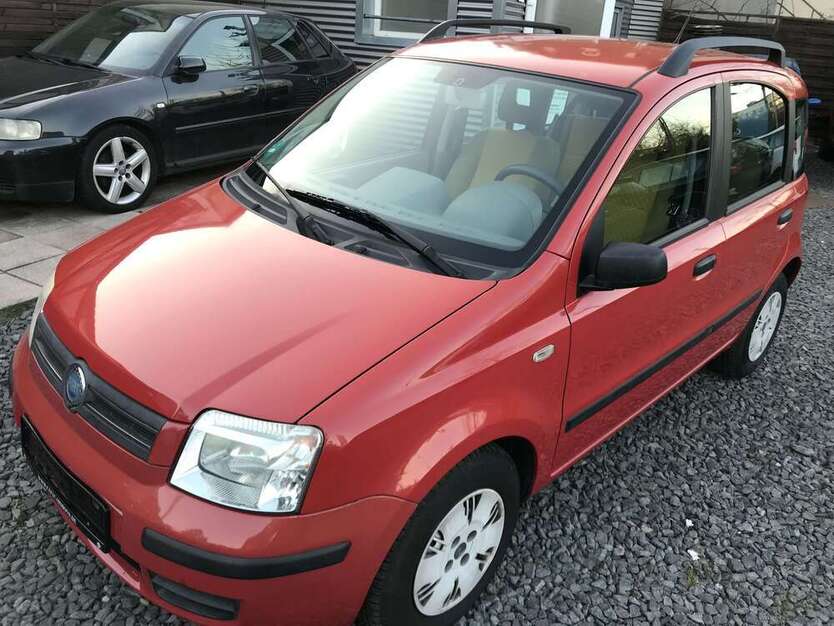 Panda