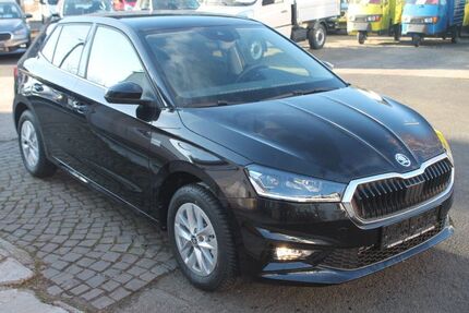 Skoda Fabia 3.000 km 18.590 € Bonn 53225