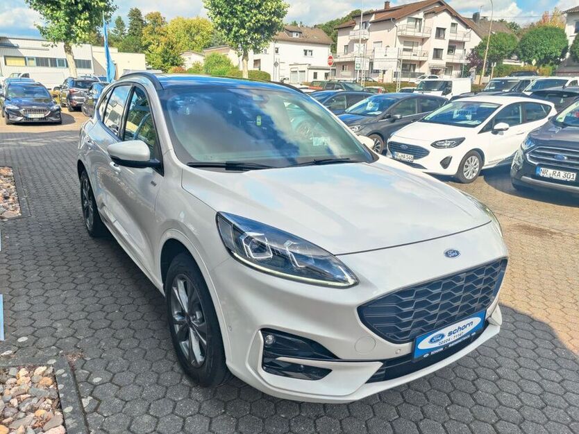 Kuga
