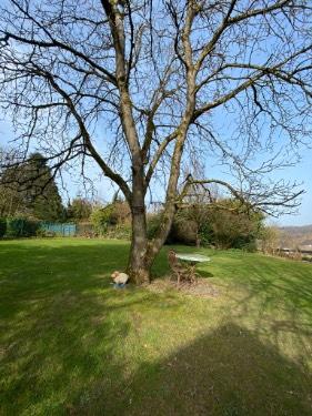 Einfamilienhaus Much - 7 Zimmer, 160 m&sup2;, 425.000&euro; | Angebot:26913508