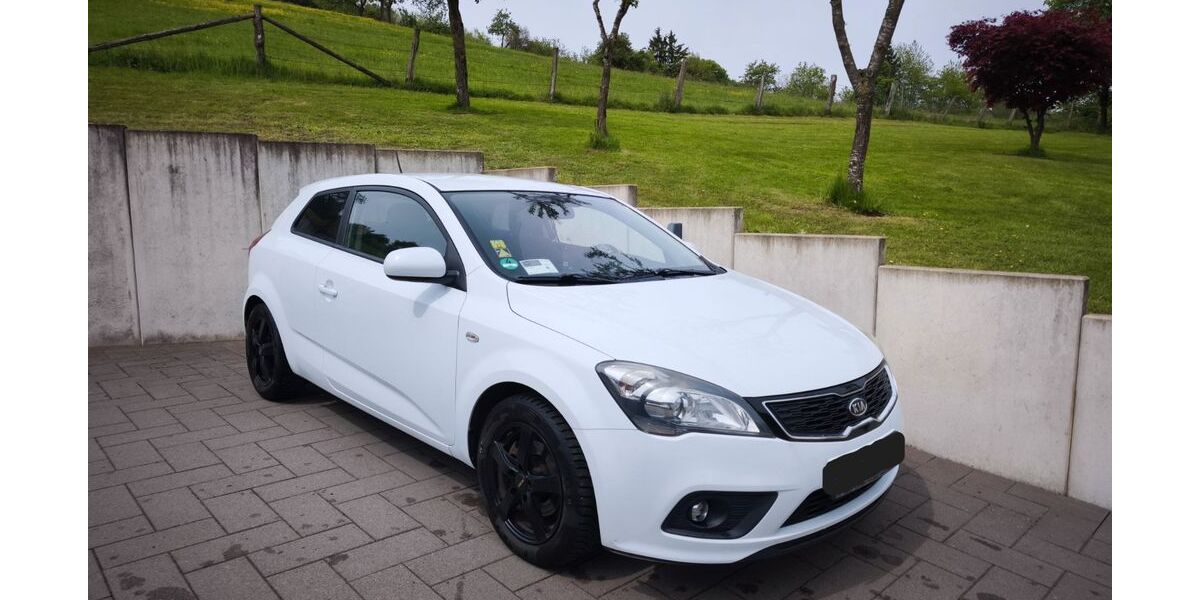 Kia pro ceed / ProCeed 193.000 km 2.500 &euro; Neustadt/Wied 53577