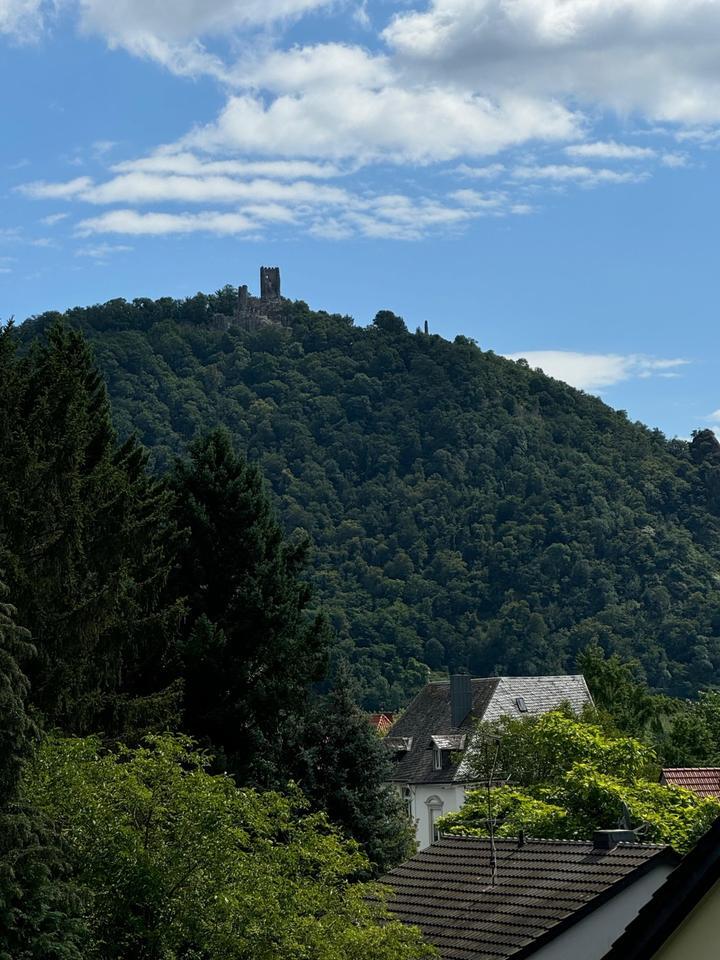 Charmante Dachgeschoßwohnung in Gründerzeitvilla in Bonn-Mehlem