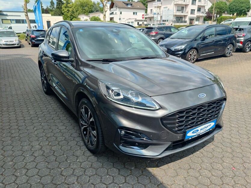 Kuga