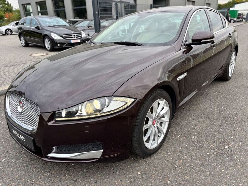 XF