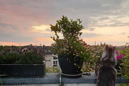 Wohnung Bergisch Gladbach Gronau - 7 Zimmer, 192 m&sup2;, 710.000&euro; | Angebot:24317186