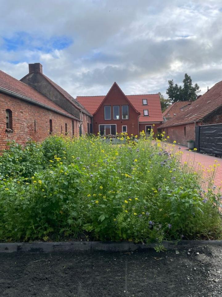 SENIORENWOHNUNG an der gesunden NORDSEEKÜSTE zimmer