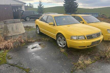 Audi V8