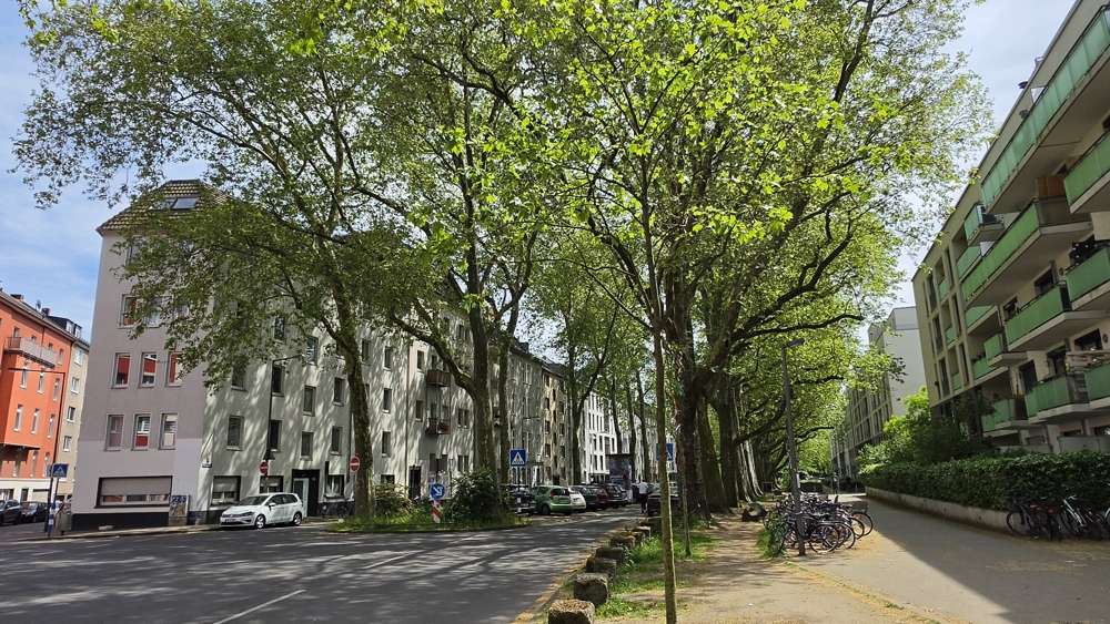 Etagenwohnung Köln Innenstadt - 2 Zimmer, 55 m&sup2;, 329.000&euro; | Angebot:26528721