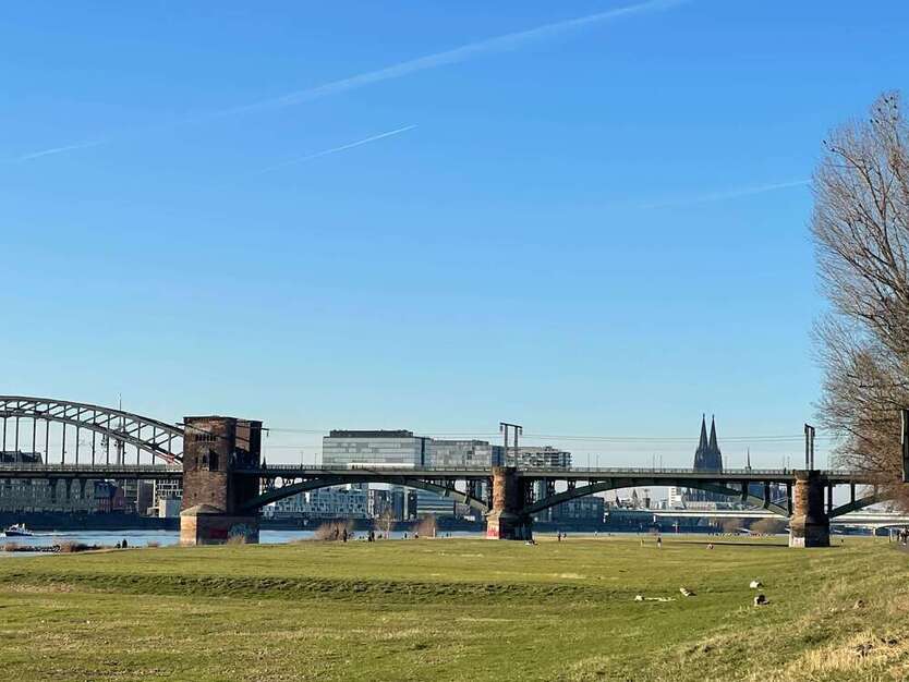 Wohnung zum Kaufen in Köln 889.000 € 185 m²