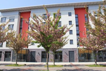 Demnächst frei! 2-Zimmer-Wohnung in Köln Kalk 2 zimmer